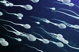 How Often Should a Semen Test Be Repeated if Results Are Abnormal?