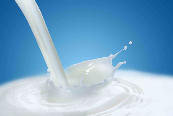 Milk Depot: Revolutionizing Fresh Milk with Innovation