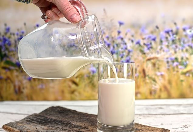 Milk Depot: Revolutionizing Homemade Milk with Fresh, Filtered Quality