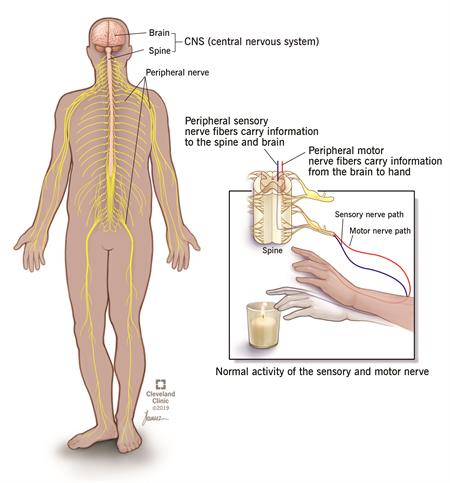 A Complete Approach to Treating Seizures and Peripheral Neuropathy with Gabapentin 400 mg