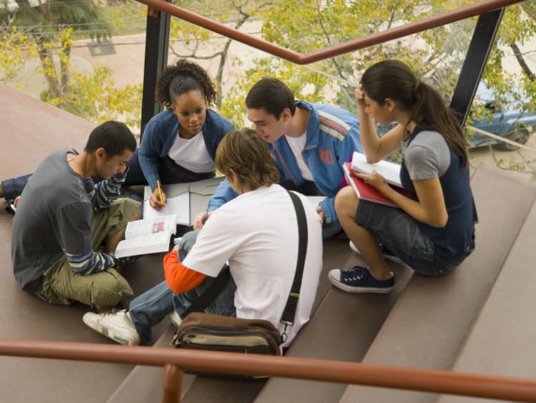 University Assignment Help: Your Academic Success Partner