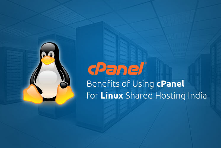  Linux cPanel Hosting 